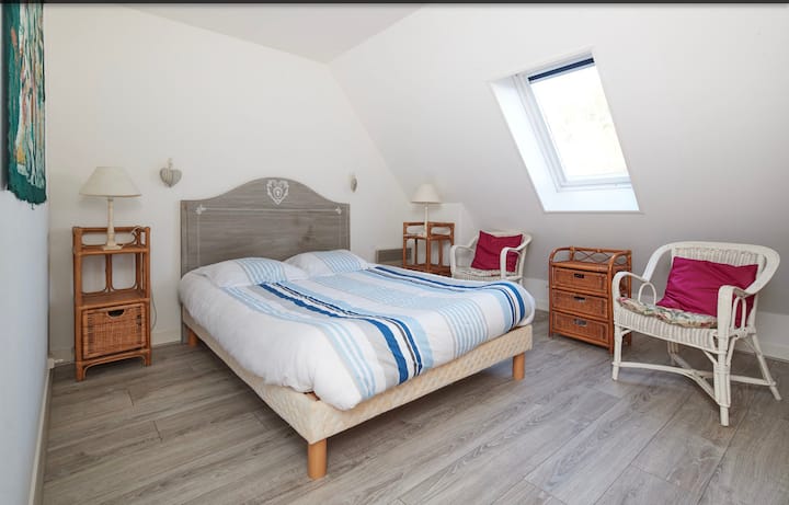 Habitación 1