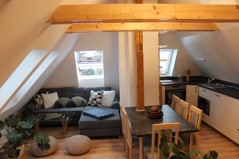 Loft apartment overlooking Ještěd