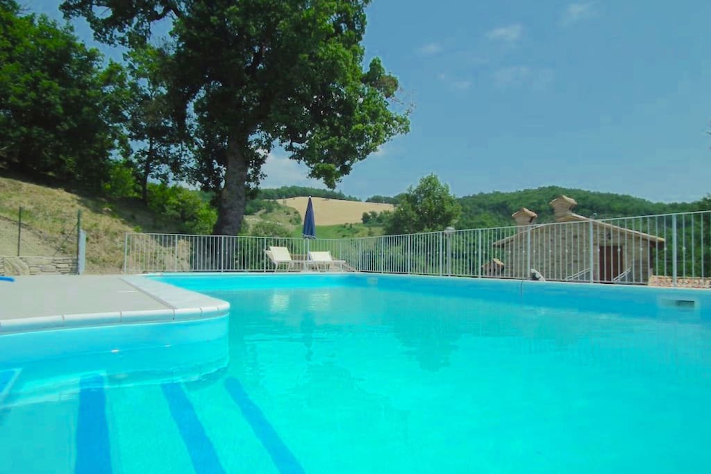 Holiday Home Swimming Pool