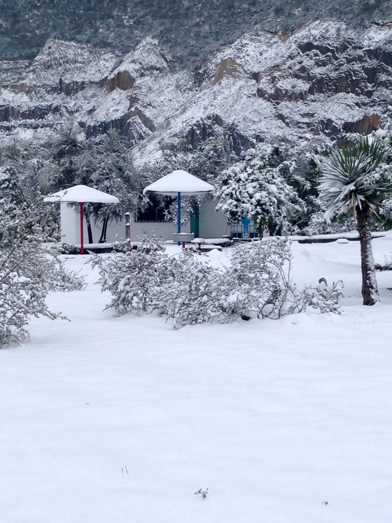 A serene winter landscape features a blanket of snow covering the ground and surrounding vegetation. Two structures with canopies are visible, along with snow-dusted trees and nearby hills. The scene conveys a peaceful atmosphere, highlighting the area's natural beauty during winter.