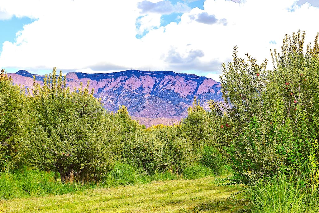 View of the Sandia Mountains