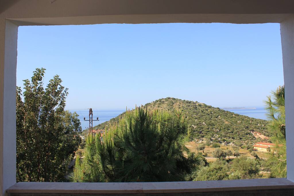View from the verandah