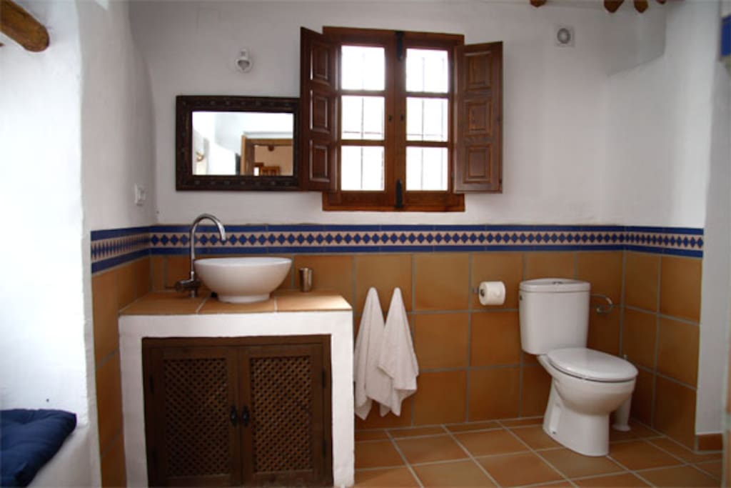Master Shower Room