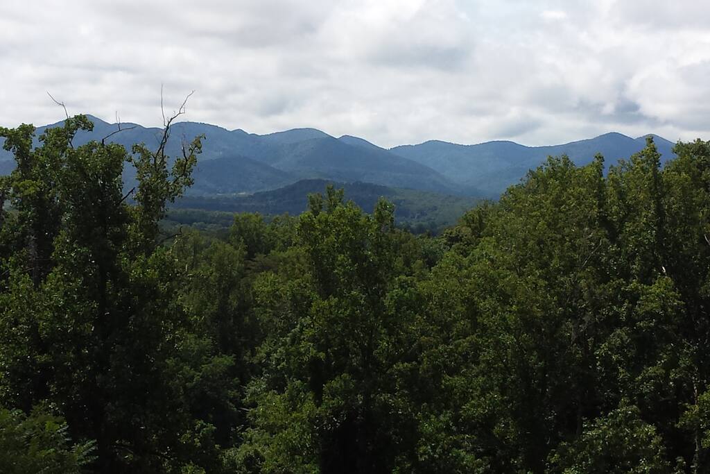 View from the deck