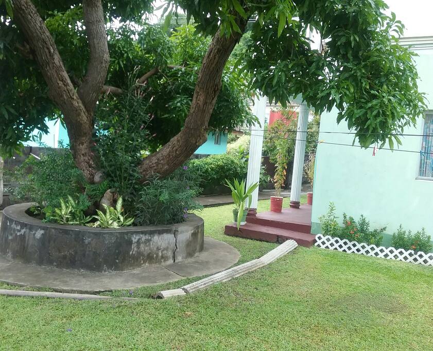 It's very cool and relaxing under the mango tree on the grounds of the property