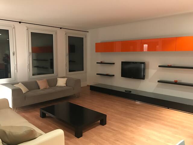 Magnifique appartement lumineux de 150m2 à Vésenaz gallery image 5