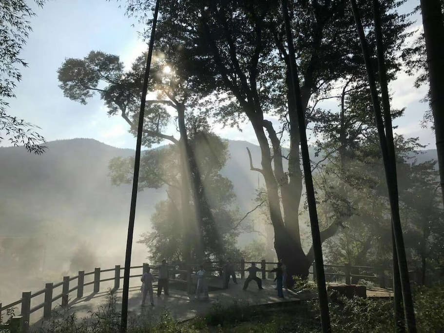 周边环境1
此处为观景台,有参天古树,晨可运动,拍照,观云海