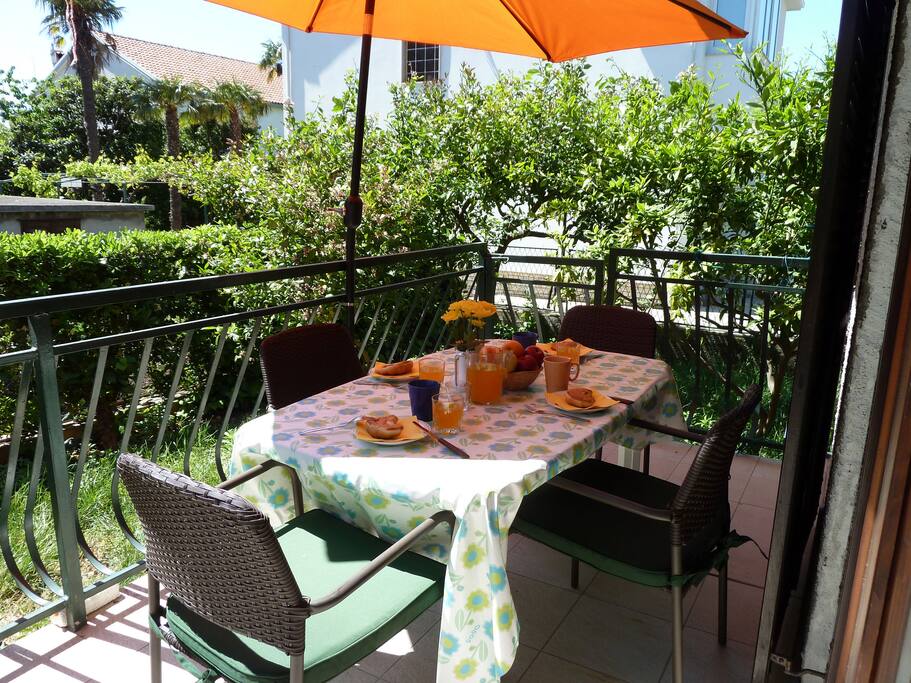 Terrace surrounded by private green garden