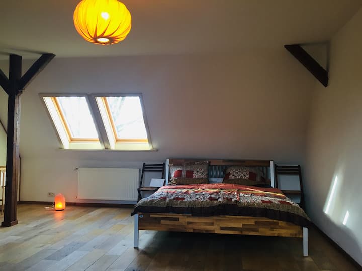 חדר שינה למעלה עם מיטה גדולה וספה נפתחת.