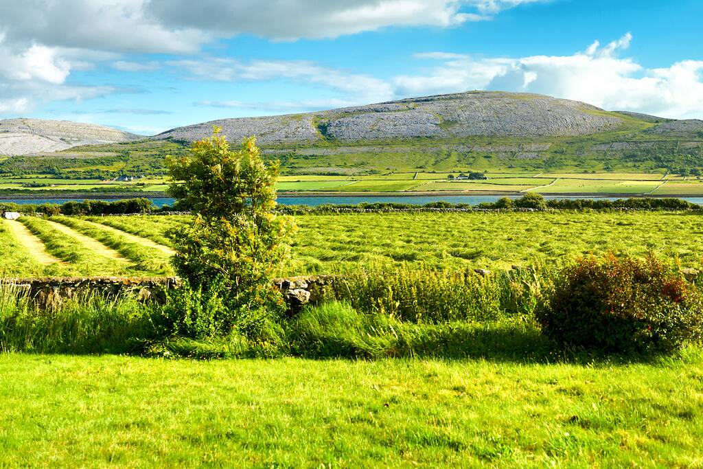 view from the sitting room