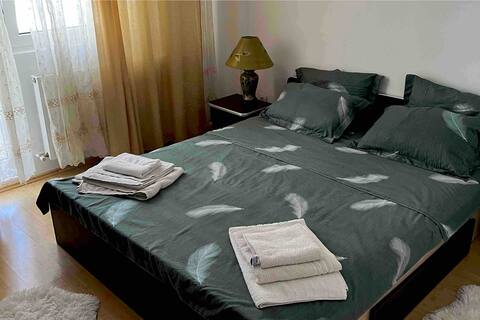 Apartment Cuza Voda