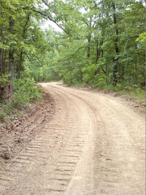 Private road leading into the thick of things!