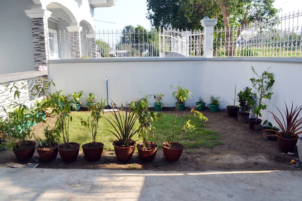 Mini Lawn ang parking space.