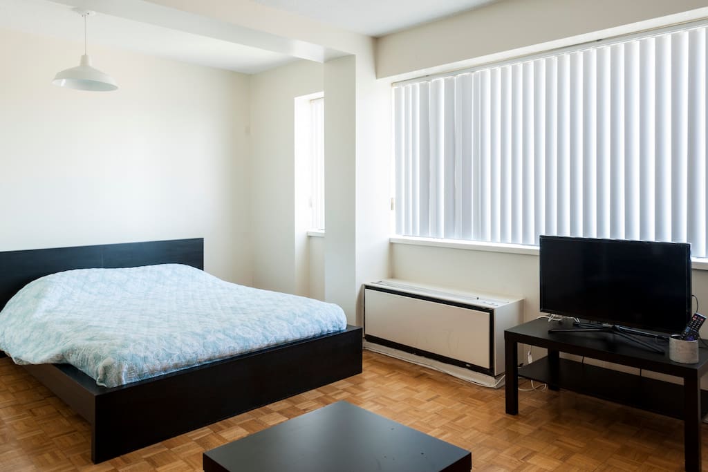 Everything you need in a studio apartment