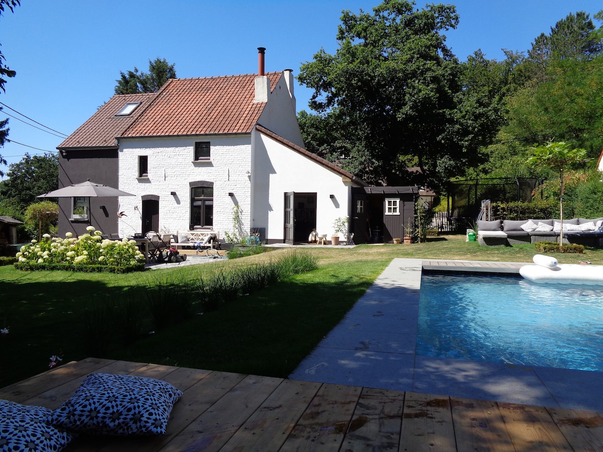 A charming white cottage with a terracotta roof is surrounded by greenery. A spacious garden features a well-maintained swimming pool and various seating areas, including sun loungers and an umbrella. The setting is bright and inviting, showcasing a peaceful outdoor retreat.