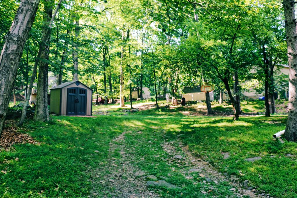 Spacious backyard, great for tossing a football
