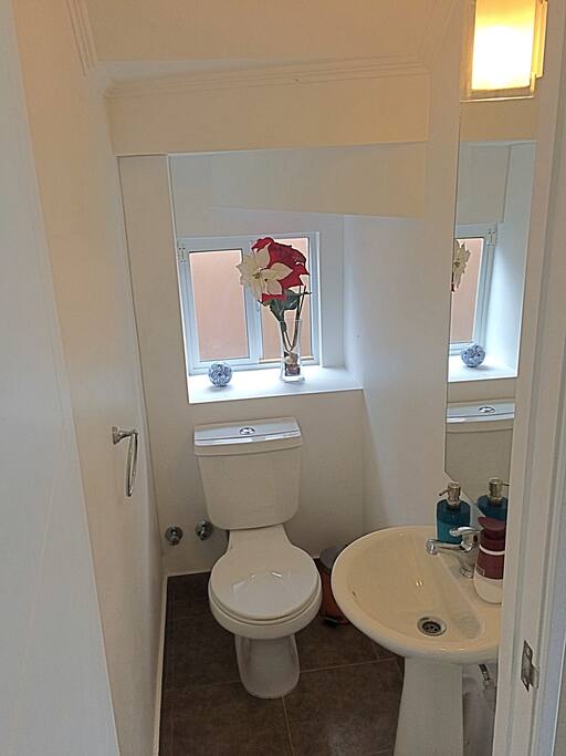 Baño visitas 1