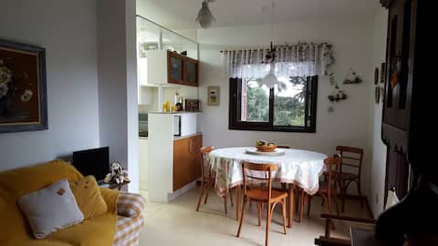 Top Airbnb: A place next to the Imigrante Park - N. Petrópolis em Nova Petrópolis