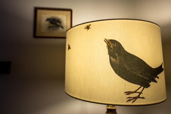 Bespoke Kettle of Fish design blackbird and bee lampshade