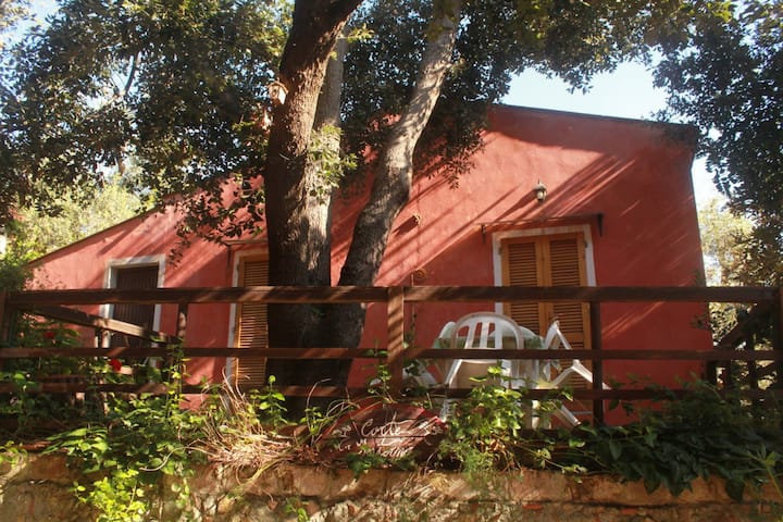 Appartamento Bilocale "Le Vigne Antiche" - Elba