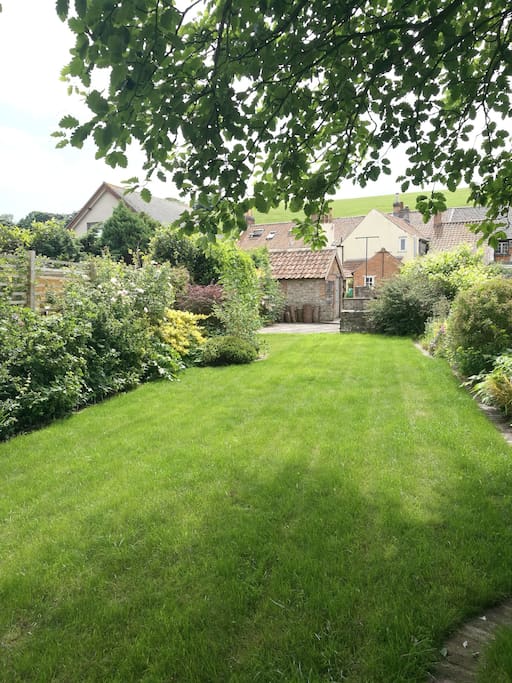 Main garden area looking back to the house