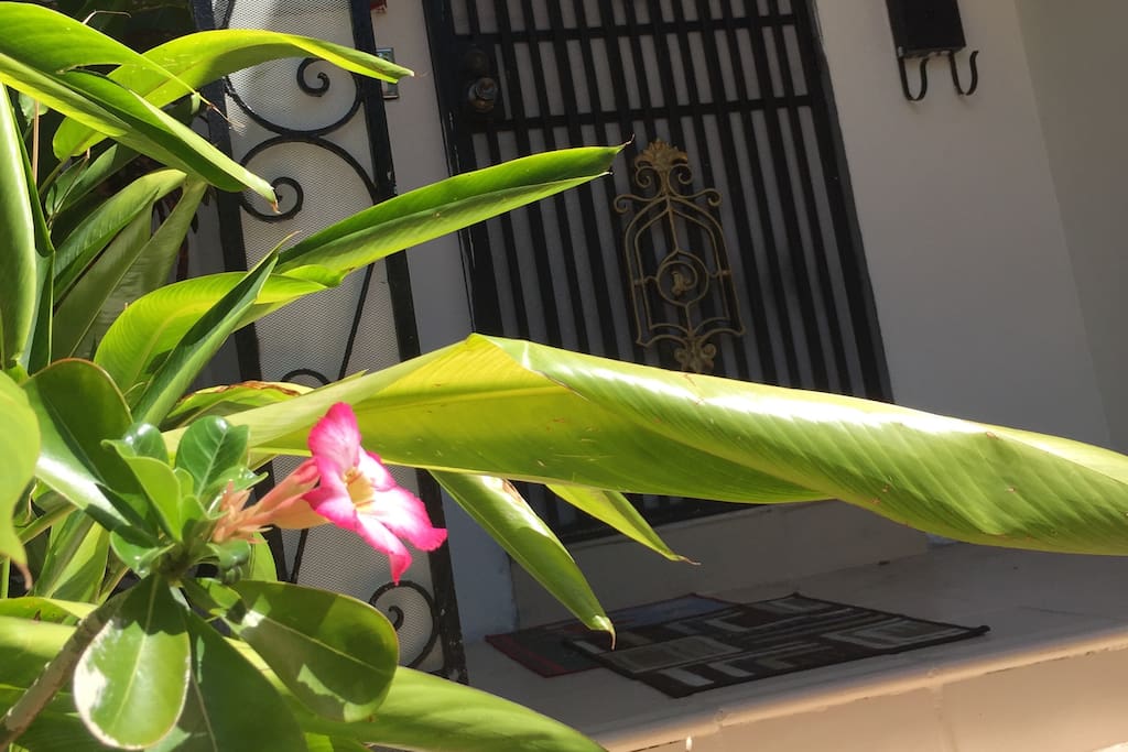 Beautiful Tropical Entrance