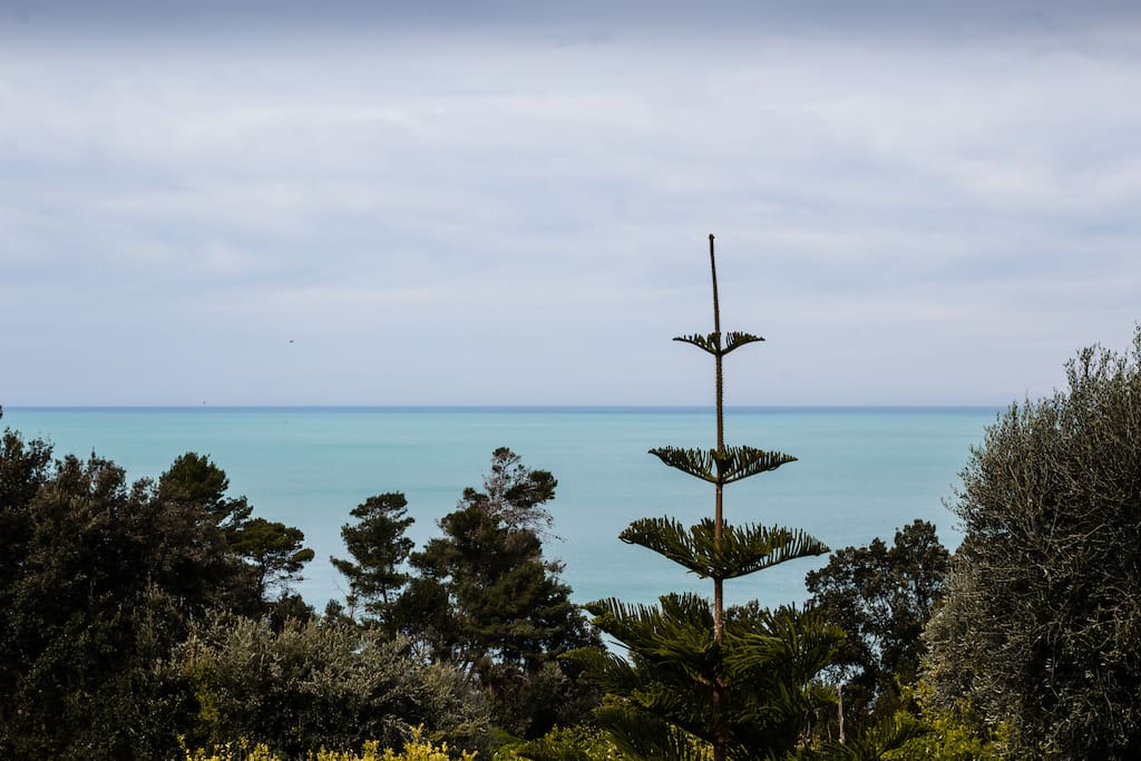 View from the balcony