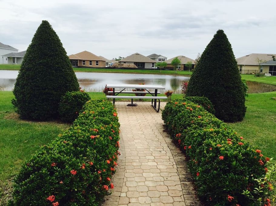 Water view