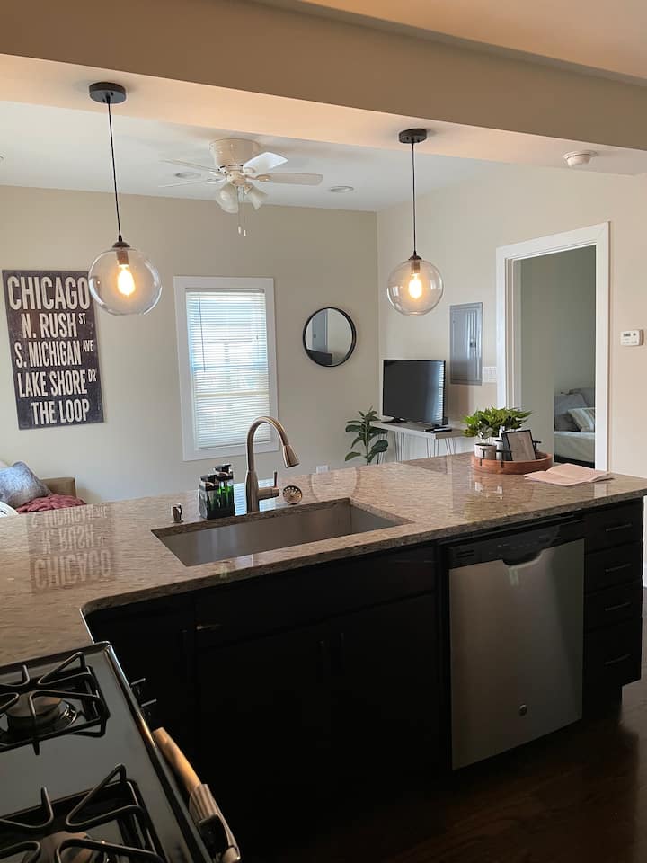 2 BR 1 BA SPACIOUS WICKER PARK/LOGAN SQUARE CONDO Apartments for Rent