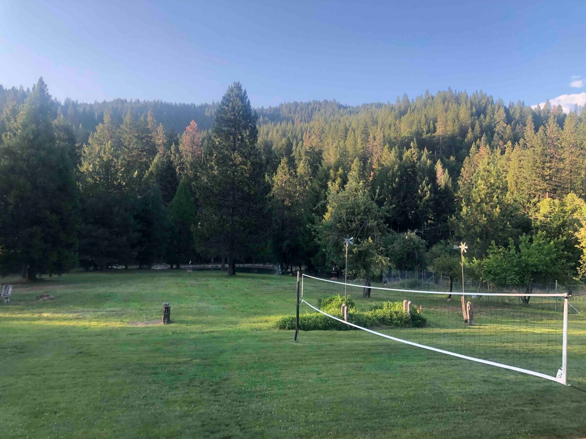 A vast green landscape is surrounded by tall trees, with a gentle slope of mountains in the background. A volleyball net stands ready for use, supported by wooden posts on a grassy area, inviting outdoor activities in a serene setting.
