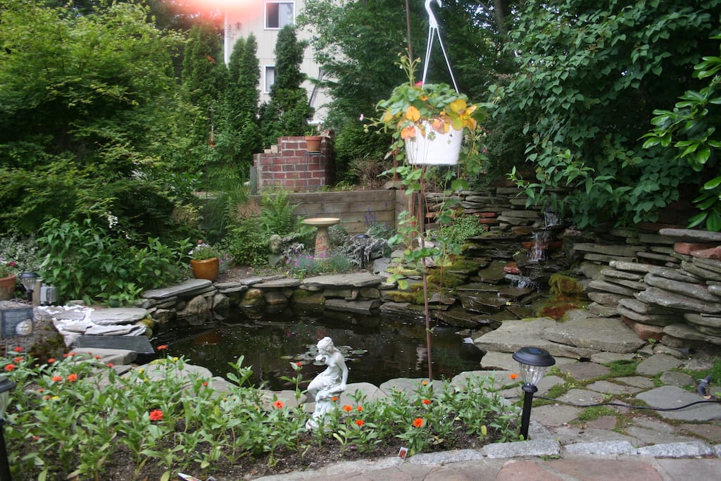 The pond