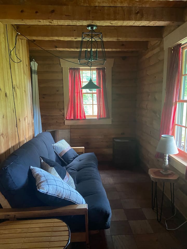 Rustic, Secluded  Cabin With Beautiful Pond - East Aurora, NY