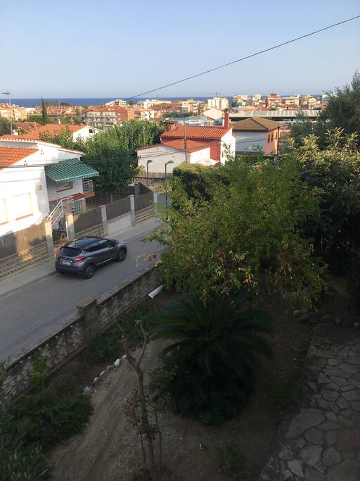 Ocean View from the Terrace