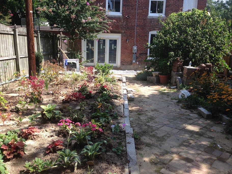 enclosed courtyard with landscaped garden, always evolving and improving