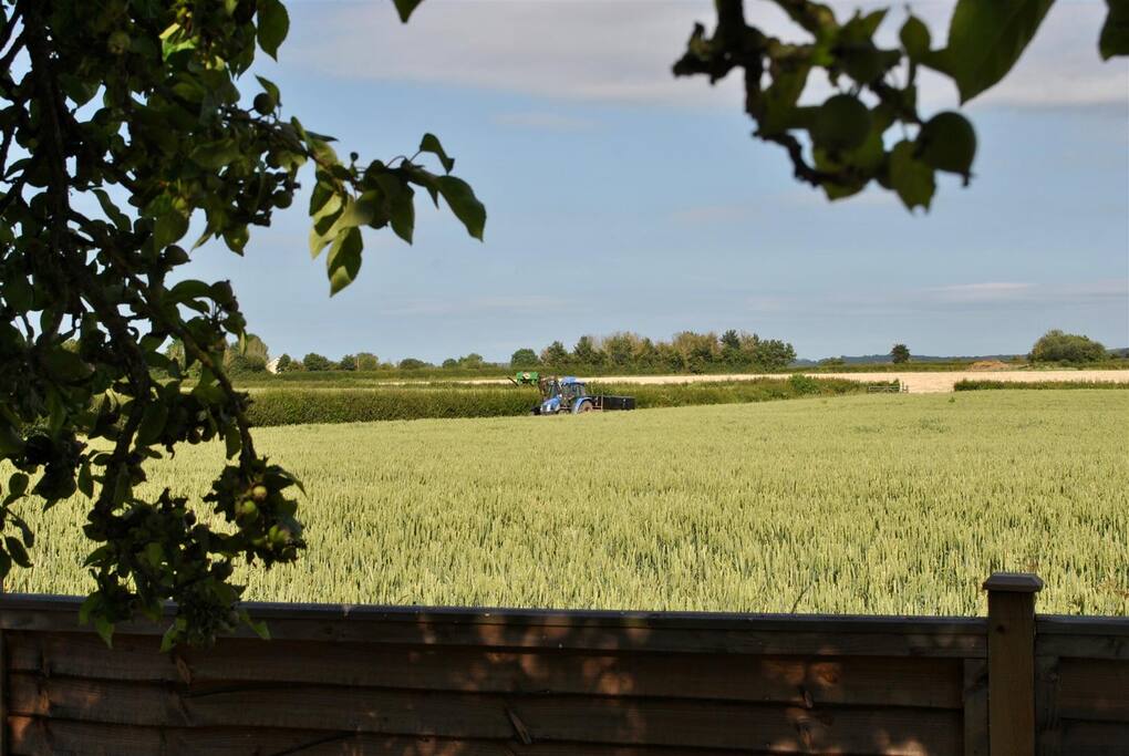 View from kitchen window
