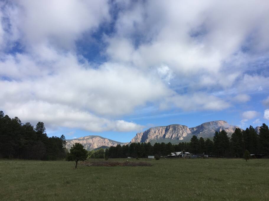 Our meadow