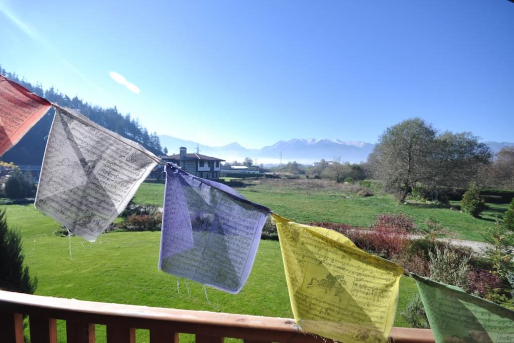 Bedroom view
