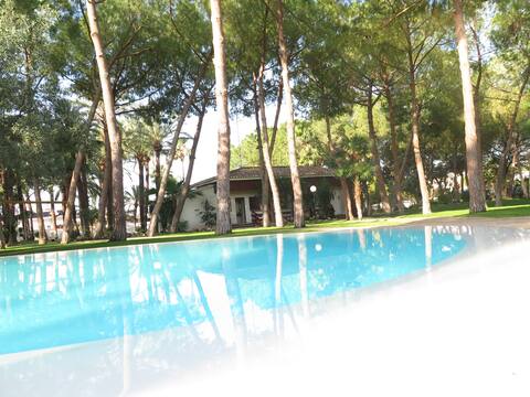 Villa (8p),beautiful garden, 10 km from Valencia