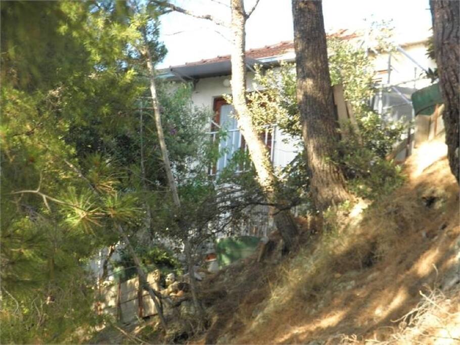 house