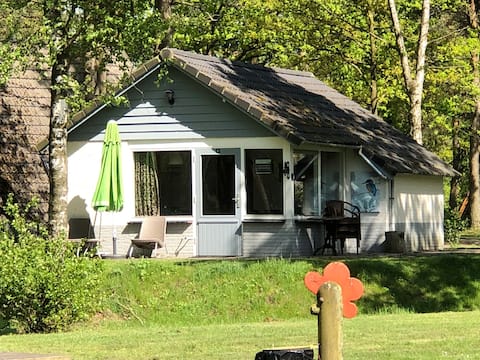Vacation home in nature park de Kemperbroek