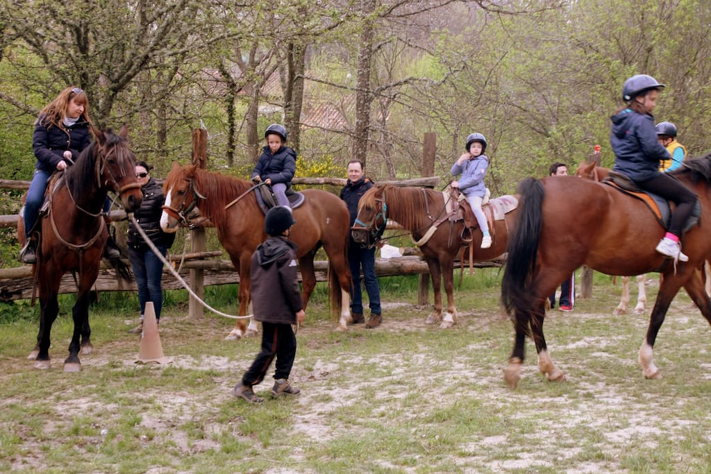 Paseos a caballo,monta natural.