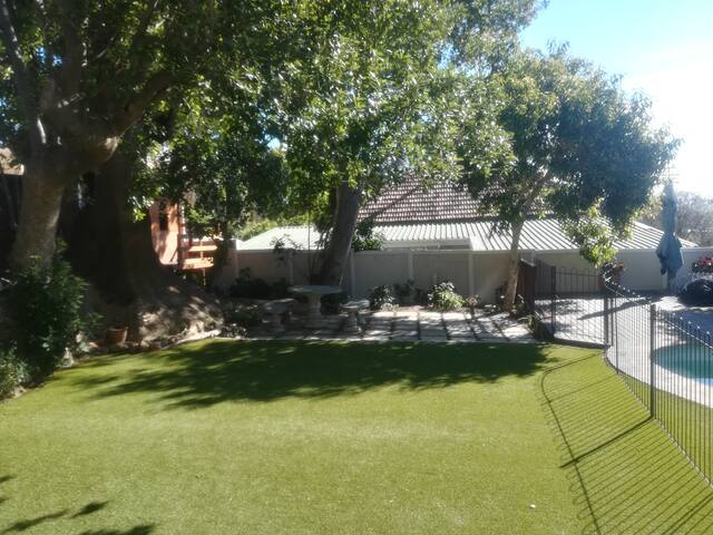 Oasis in the city gallery image 5