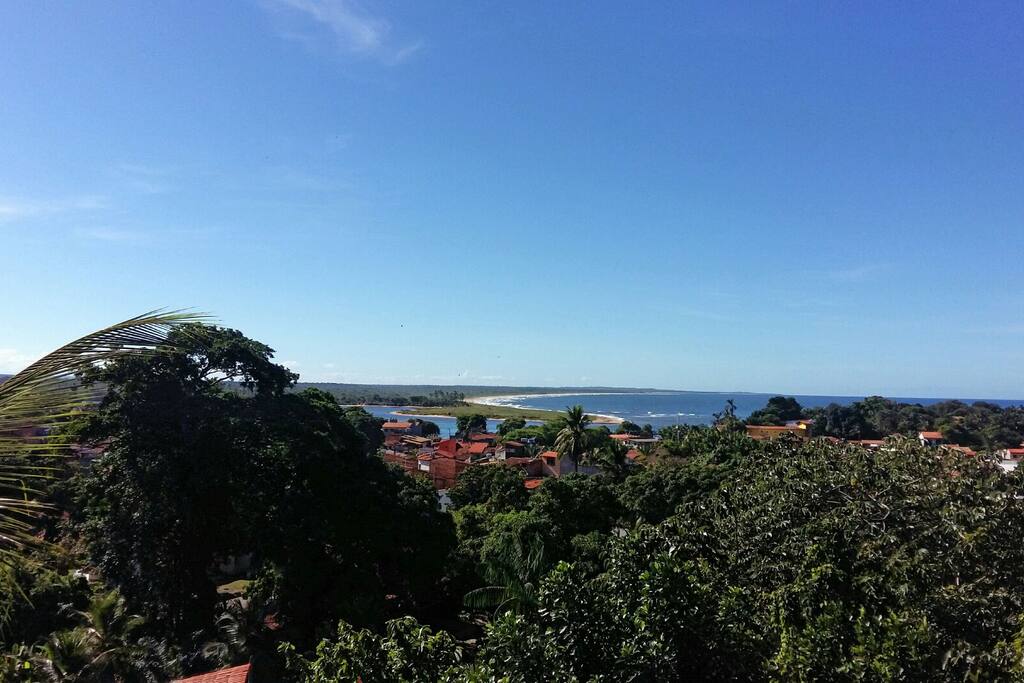 Vista