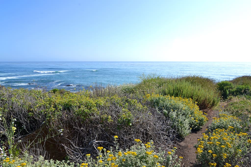 View from Bluff