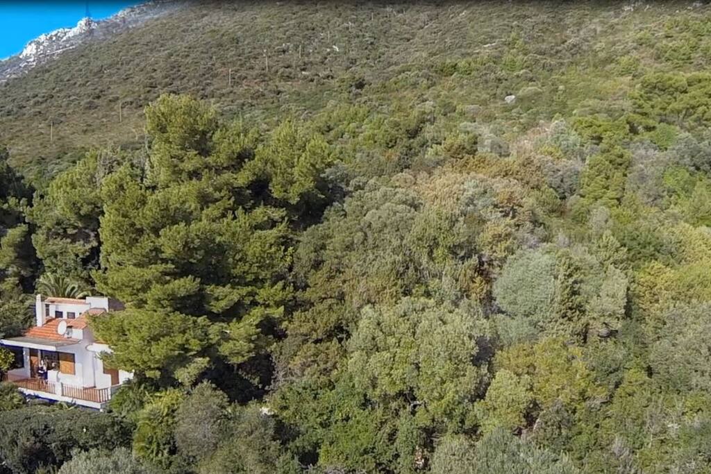 veduta della proprietà, confinante con il Parco Nazionale del Circeo