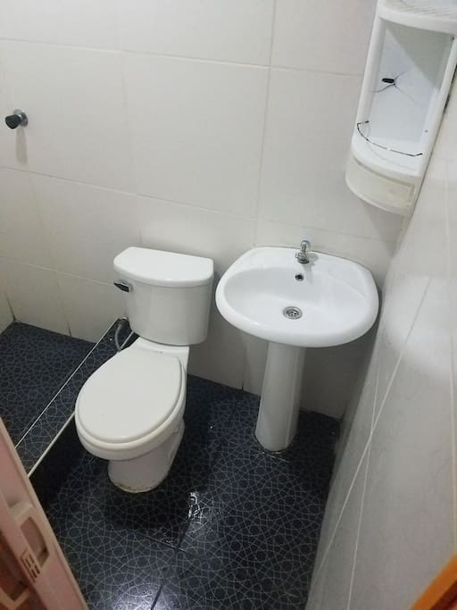 Servicios Higienicos