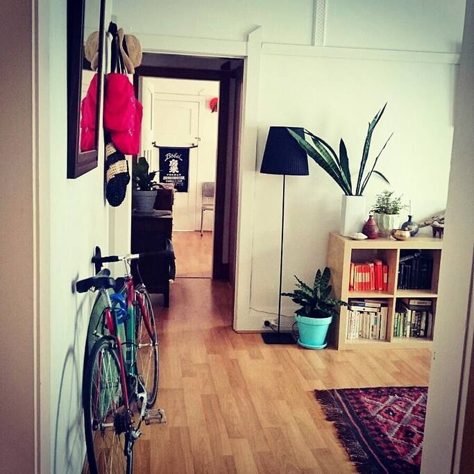Hall way. The apartment goes kitchen, lounge, bathroom, bedroom