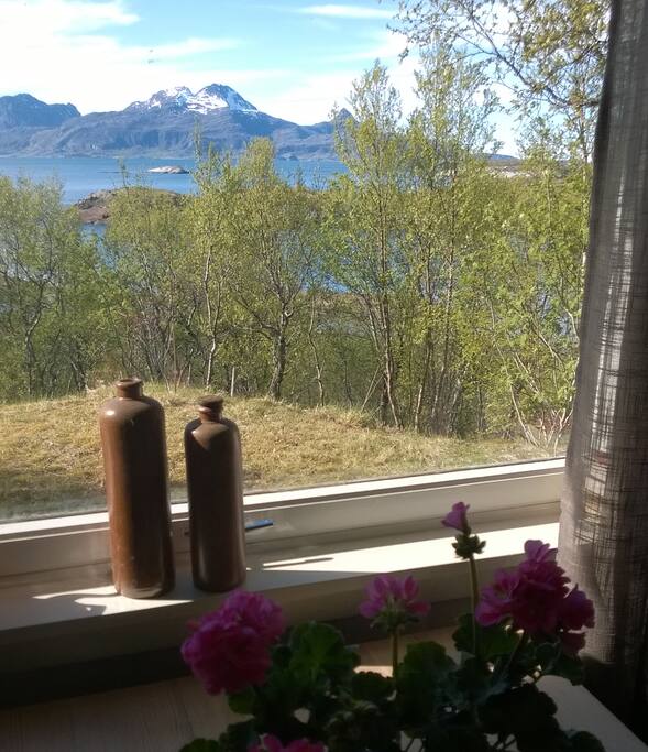 View from window in the dining room