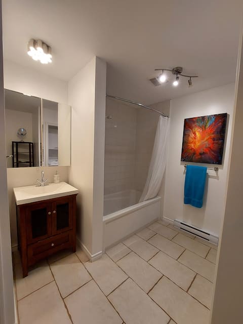 Sunny-spacious-fully furnished private apartment