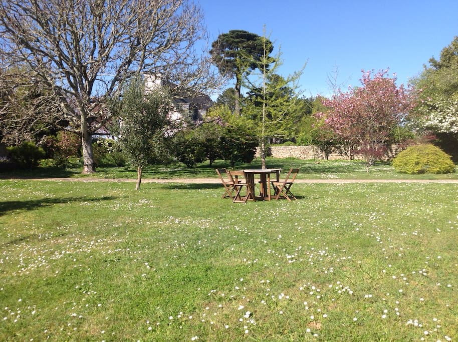 Jardin devant la maison